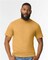 Gildan Softstyle Midweight Crewneck Short Sleeve T-Shirt For Modern Classic Fit Durable Everyday Wear
